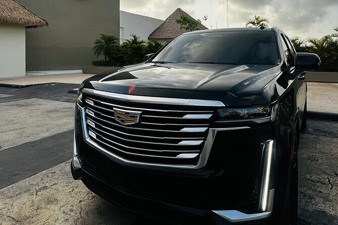 ROUNDTRIP Bavaro/Punta Cana AREA - PUJ Airport - LUXURY SERVICE - The Complete Experience: What to Expect