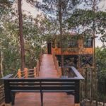 Route through Dominican Republic by 4x4 jeep - Authentic Insights from Reviews