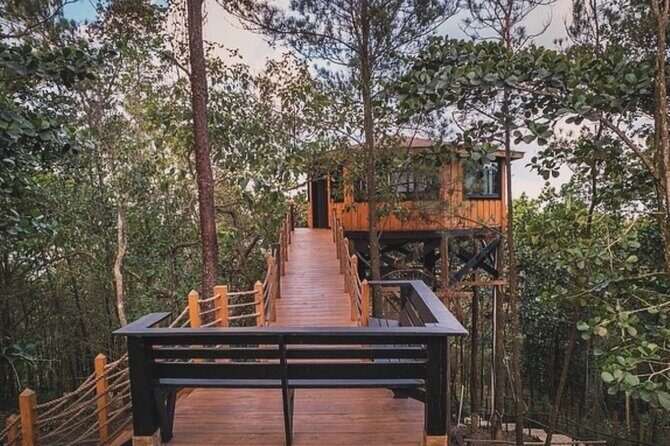 Route through Dominican Republic by 4x4 jeep - Authentic Insights from Reviews