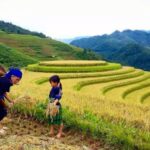 Sa Pa: 6-Hours Muong Hoa Valley Trek with Local Ethnic guide - Who Should Book This Tour?