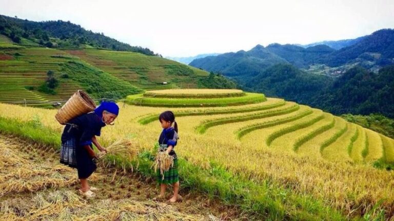 Sa Pa: 6-Hours Muong Hoa Valley Trek with Local Ethnic guide - Who Should Book This Tour?