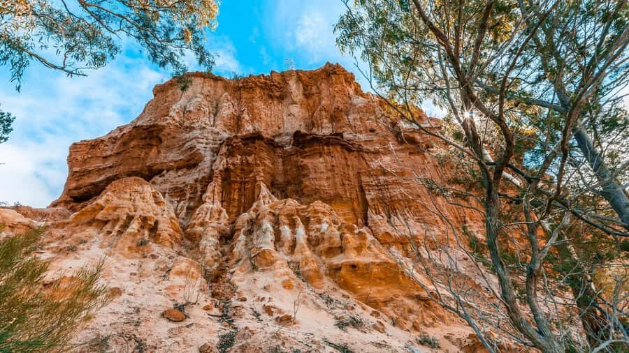 SA Riverland: 3-Day Murray River & National Parks Eco Tour - What Makes This Tour Special?