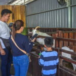 Sabah: Kinabalu Park, Poring Hot Springs & Desa Farm Tour - FAQs