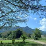 Sabeto Hot Springs and Mud Pool Tour - An In-Depth Look at the Sabeto Hot Springs & Mud Pool Experience