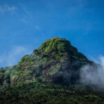 Sacred Sunrise Adventure: Adams Peak Day Tour - Who Is This Tour Best For?