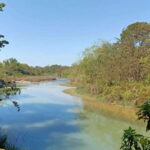 Safari Adventure in Bardia 3D/2N - Who Will Love This Tour?