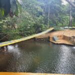 Safari Full Day VIP Experience - The Experience for Different Types of Travelers