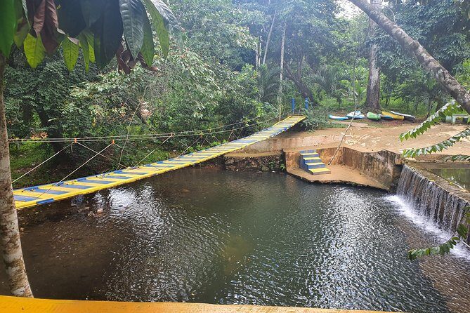 Safari Full Day VIP Experience - The Experience for Different Types of Travelers