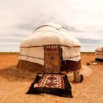 Safari in Kyzylkoum and Lake Aydar (2 days): yurt camping and more! - The Itinerary: A Deeper Look