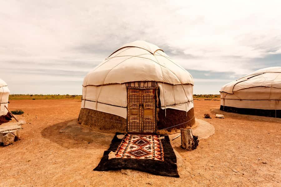 Safari in Kyzylkoum and Lake Aydar (2 days): yurt camping and more! - The Itinerary: A Deeper Look