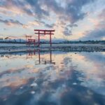 Saga Day Tour from Fukuoka: Karatsu, Arita & Ouo Shrine - What to Expect from the Experience