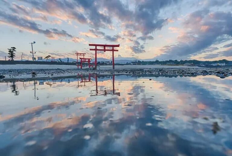 Saga Day Tour from Fukuoka: Karatsu, Arita & Ouo Shrine - What to Expect from the Experience