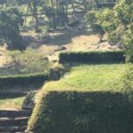 Saga: Karatsu Kunchi, Balloon, & Fox Wedding Festivals Tour - The Itinerary Breakdown