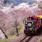 Sagano Romantic Train Ticket - Who Is This Experience For?