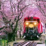 Sagano Romantic Train Ticket - The Itinerary In-Depth