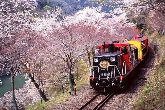 Sagano Romantic Train Ticket - Who Is This Experience For?