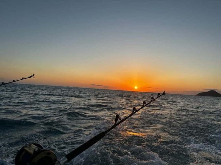 Saint Kitts & Nevis: Full-Immersion Caribbean Adventure - Who Will Love This Experience?