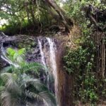 Saint Lucia: La Tille Falls Visit and Fish Foot Massage - Why This Tour Works Well