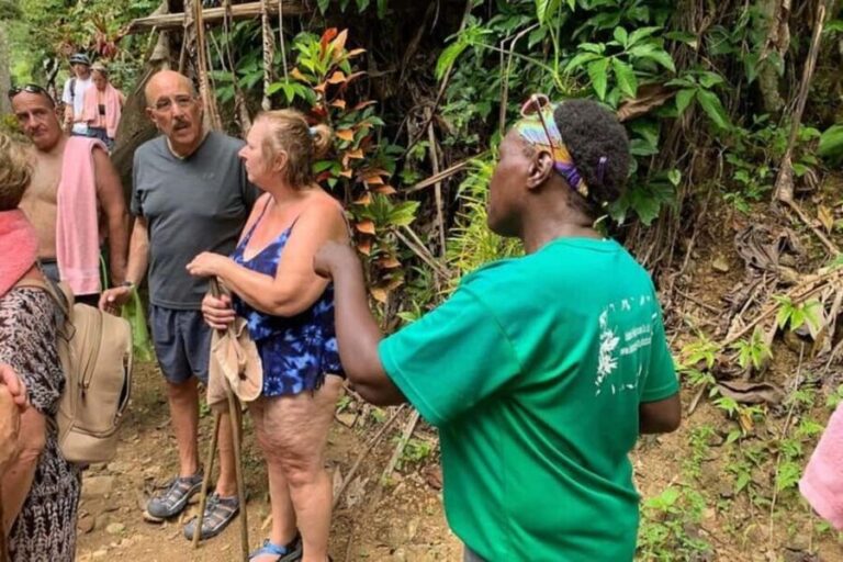 Saint Lucia: Soufriere Volcano Experience - The Value of This Tour