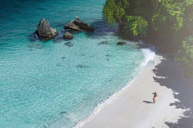 Samana Day Trip from Puntacana and El limon Waterfall - Final Thoughts: Who Is This Tour For?  