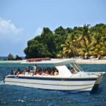 Samaná: Private Catamaran Whale Watching Tour with Drinks - Why It’s a Great Choice