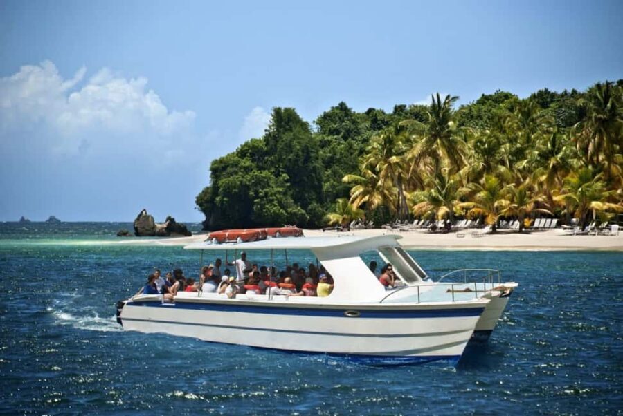 Samaná: Private Catamaran Whale Watching Tour with Drinks - Why It’s a Great Choice