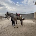Samarkand: Horseback Riding Tour with Pickup and Drop-off - What to Expect from the Tour