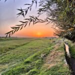 Samarkand: Village Tour with Homemade Dinner & Milking a Cow - Exploring Village Life and Agriculture