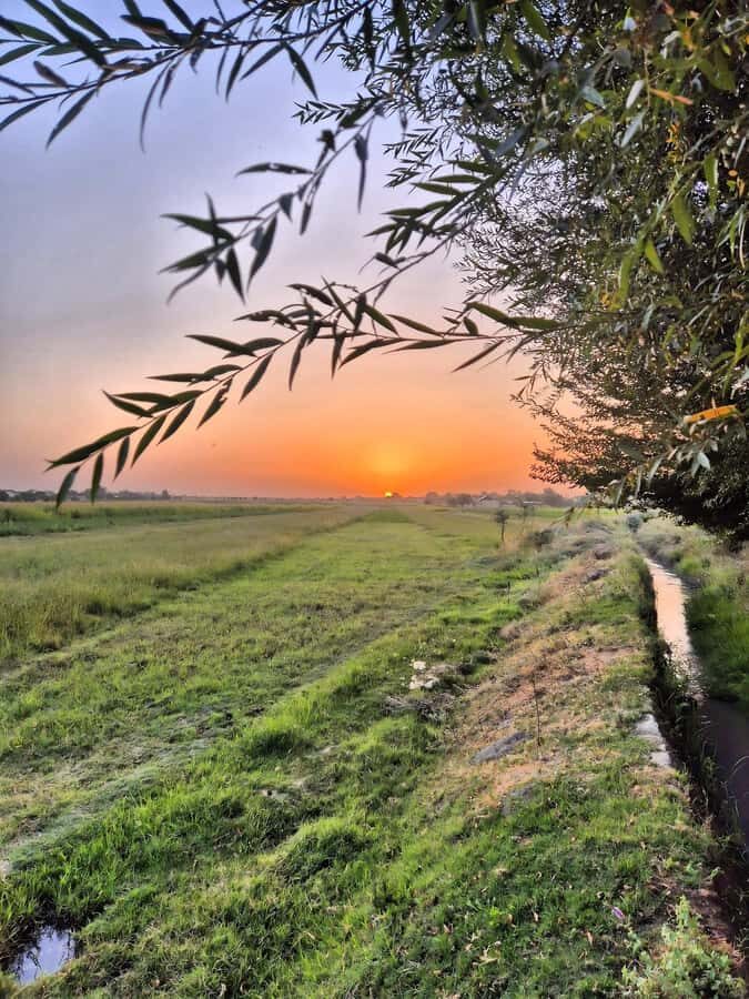 Samarkand: Village Tour with Homemade Dinner & Milking a Cow - Exploring Village Life and Agriculture