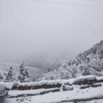 Samarkand: Zaamin National Park and Glass Bridge Tour - Practical Details and Tips