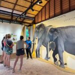 Samui: Elephant Home Sanctuary and the first elephant museum - The Itinerary: A Closer Look