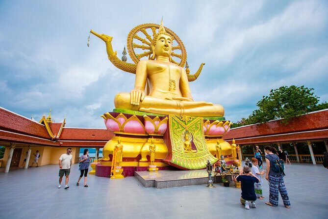 Samui Highlights Private Tour Best Shore Day from Cruise Ship - Hin Ta & Hin Yai Rocks