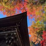 Samurai Guide Shos Mt. Takao Hike, Temple & Onsen from Shinjuku - Why This Tour Is a Great Deal