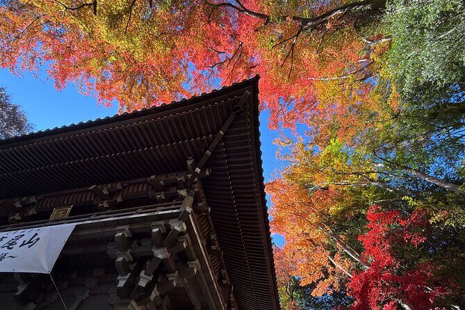 Samurai Guide Shos Mt. Takao Hike, Temple & Onsen from Shinjuku - Why This Tour Is a Great Deal