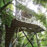 Sanctuary Mountain (Mt Maungatautari) & Hamilton Gardens Day trip from Auckland - Detailed Breakdown of the Itinerary