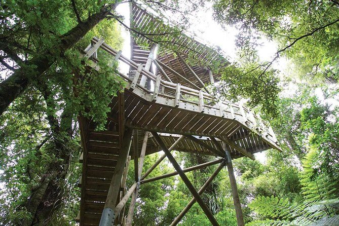 Sanctuary Mountain (Mt Maungatautari) & Hamilton Gardens Day trip from Auckland - Detailed Breakdown of the Itinerary