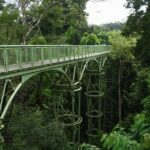 Sandakan: Private City Tour, Rainforest, Jungle Walk, Birds - What Makes This Tour Unique?