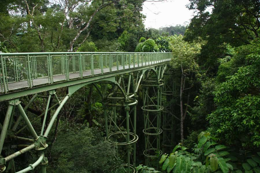 Sandakan: Private City Tour, Rainforest, Jungle Walk, Birds - What Makes This Tour Unique?