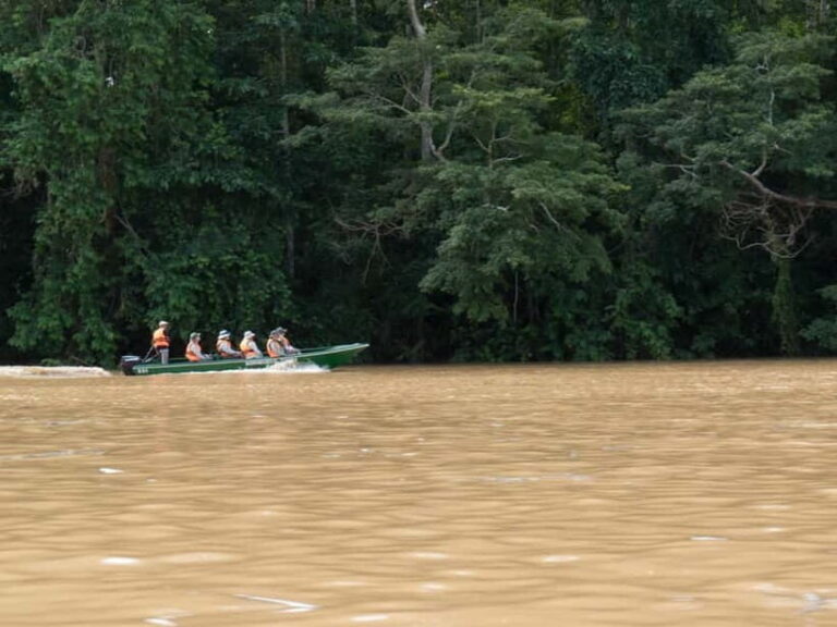 Sandakan: Sukau Rainforest Wildlife Journey & Dawn Cruises - Who Will Love This Tour?