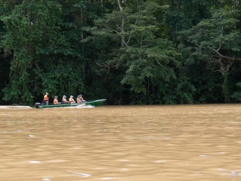 Sandakan: Sukau Rainforest Wildlife Journey & Dawn Cruises - Who Will Love This Tour?