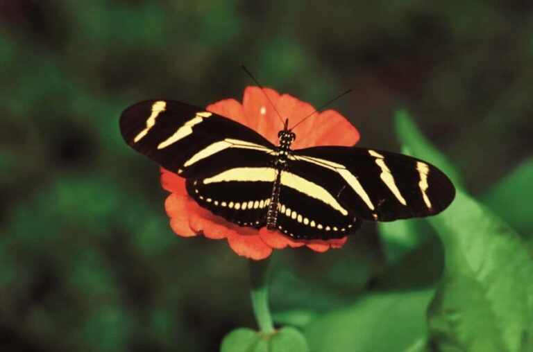 Santo Domingo: Natural Treasures of the City - Exploring Santo Domingo’s Natural Wonders: An In-Depth Review