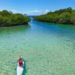 Santo Domingo: Paddle Boarding, Los Tres Ojos, Beach & Lunch - What Makes This Tour Stand Out?