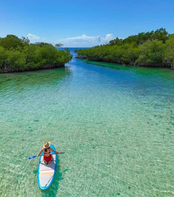 Santo Domingo: Paddle Boarding, Los Tres Ojos, Beach & Lunch - What Makes This Tour Stand Out?