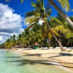 Santo Domingo: Saona Island Day Trip with Lunch and Drinks - The Natural Beauty and Unique Attractions