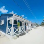 Santo Domingo: Saona Island Day Trip with Lunch & Drinks - What Makes This Tour Worth It?