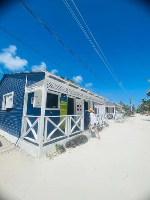 Santo Domingo: Saona Island Day Trip with Lunch & Drinks - What Makes This Tour Worth It?