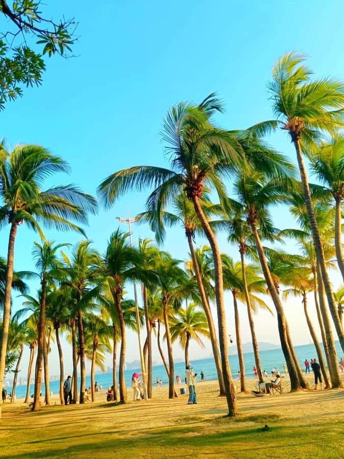 Sanya 2-Day Private Tour: Nanshan Park & Wuzhizhou Island - What to Expect and Practical Tips
