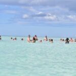 Saona Island and natural Pool Punta Cana - Practical Details and Tips