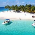 Saona Island Day Trip with Lunch, Transportation and Drinks - Authentic Experiences and Reviewer Insights