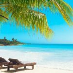 Saona Island From Punta Cana - What Makes This Tour Stand Out?